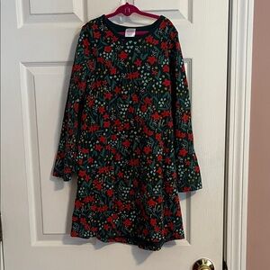 Hanna Andersson Red and Green Floral Kids Dress